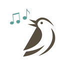 Pássaros.Org APK