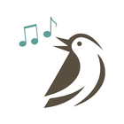 Pássaros.Org أيقونة