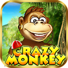 Crazy Monkey アイコン