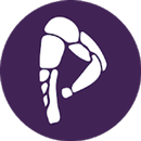 Perfit Scanner APK