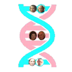 Genealogical trees of families