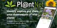 How to Download PlantNet Plant Identification on Android