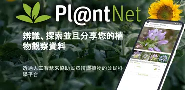 PlantNet 植物辨識