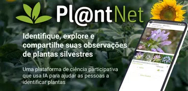 PlantNet Identificação planta