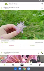 PlantNet Plant Identification XAPK download