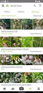 PlantNet Plant Identification