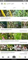 بلانت نت تحديد نوع النبات تصوير الشاشة 2