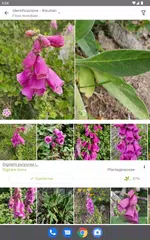 download PlantNet Plant Identification XAPK