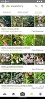 Pl@ntNet plantenidentificatie screenshot 2