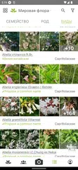 Скачать PlantNet Plant Identification XAPK
