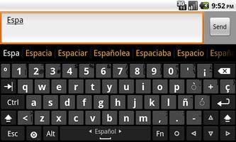 Spanish dictionary (Español) Cartaz