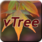 Virginia Tech Tree ID ikona