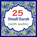 25 Small Surah of The Quran-APK