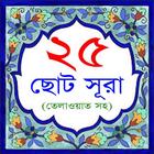 25 Small Surah Bangla ícone