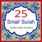 25 Small Surah Urdu ícone