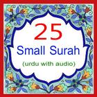 25 Small Surah Urdu आइकन