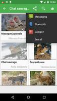 Quiz : Animaux screenshot 3