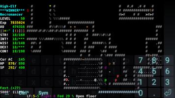 Angband screenshot 3