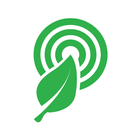 Rainforest Connection® Player icône