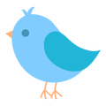 BirdsLover