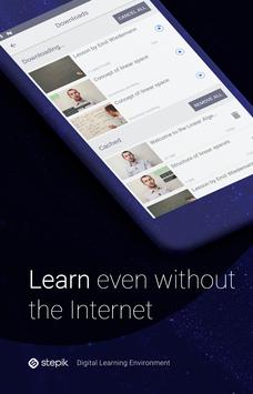 Stepik 截图 6