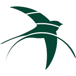 Studio Hirondelle RDC