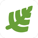 Rides icon