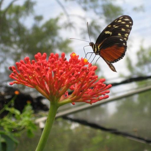 Meditation Words & Bell Timer