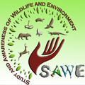 SAWE