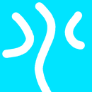 scolio meter mobile APK