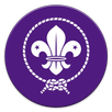 SCOUTS APK