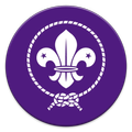 SCOUTS