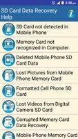 SD Card Data Recovery Help Plakat