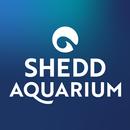 Shedd Go APK