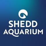 Shedd Go ไอคอน