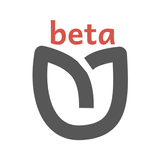 BR Beta icône