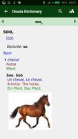 Dictionnaire Dioula / Jula screenshot 2