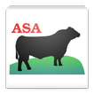 American Simmental Mobile