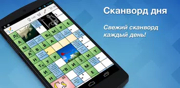 Сканворд Дня