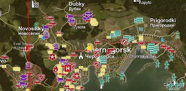 Central - Map & Guide for DayZ