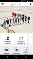 SkyTeam Poster