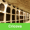 Cricova Tour Guide:SmartGuide APK
