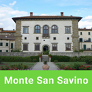 Monte San Savino SmartGuide APK
