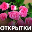 Открытки на все случаи жизни и с днем рождения