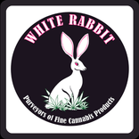 White Rabbit