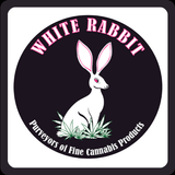 White Rabbit ไอคอน