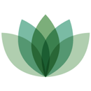 N'BLISS APK