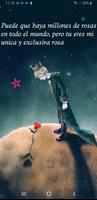 Aneko skin StarSyL スクリーンショット 1