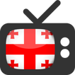 Televizia.ORG icon