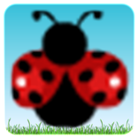 Ladybird